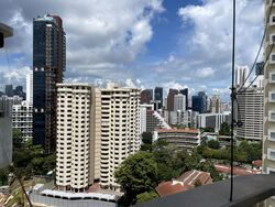 The Scotts Tower (D9), Condominium #346942351
